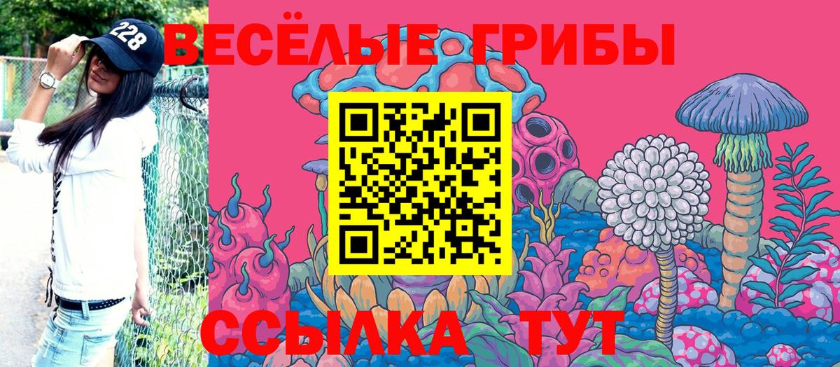 Псилоцибиновые грибы мухоморы Минеральные Воды